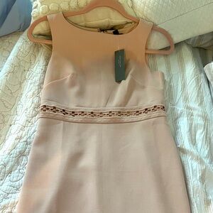 Brand new never worn Ann Taylor dress